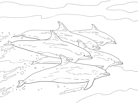 Bottlenose Dolphins School Coloring Page